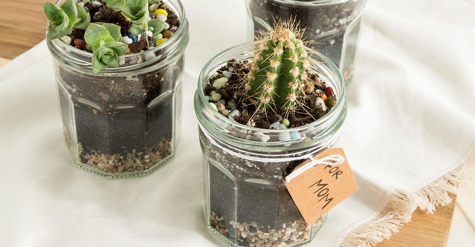 Mother’s Day Terrariums