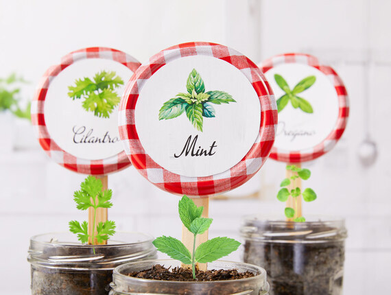 Herb Planter Jar Hack- Bonne Maman