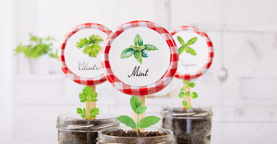 Herb Planter Jar Hack