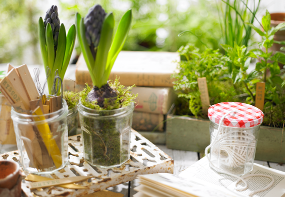 Gardening with Bonne Maman- Bonne Maman