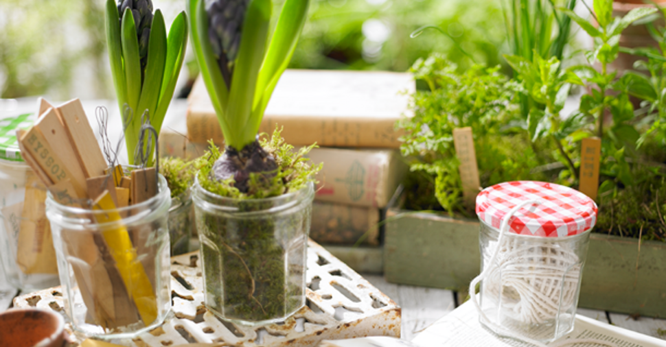 Gardening with Bonne Maman